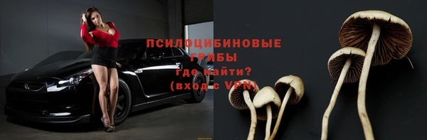 винт Снежногорск