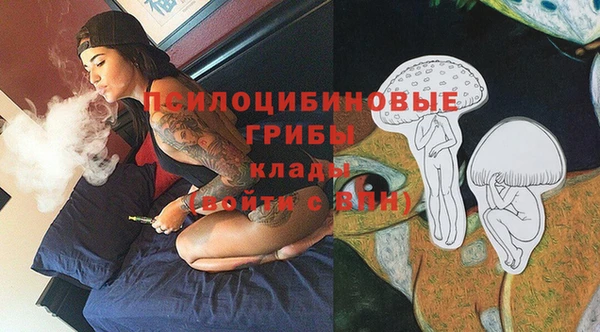 мяу мяу мука Алзамай