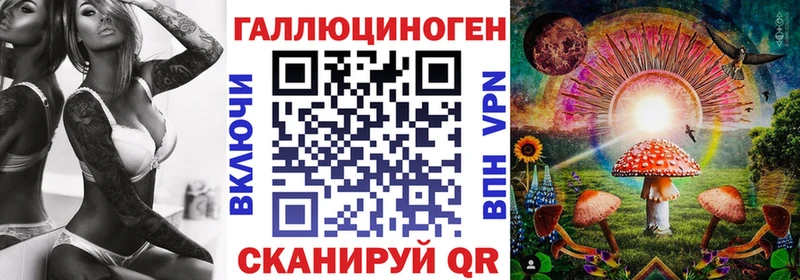Галлюциногенные грибы GOLDEN TEACHER  где найти наркотики  Зеленоградск 