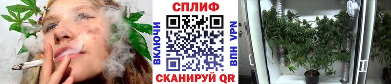 Каннабис White Widow  darknet телеграм  Зеленоградск 